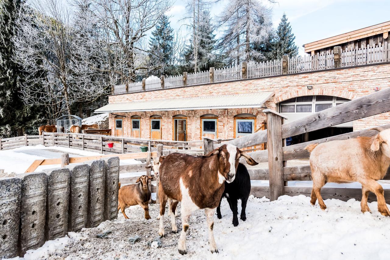 Villa Peakini Farmhaus Untertauern Exterior foto