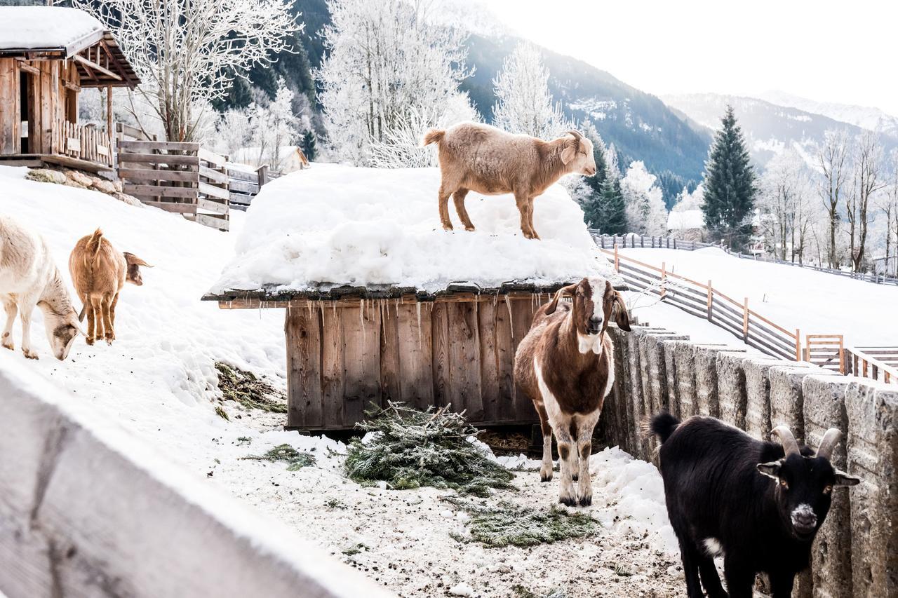 Villa Peakini Farmhaus Untertauern Exterior foto