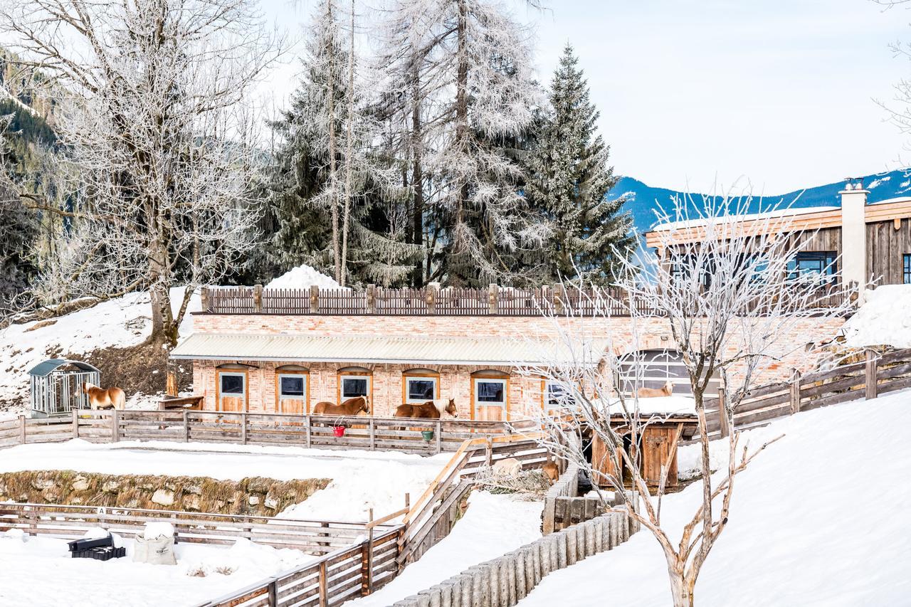 Villa Peakini Farmhaus Untertauern Exterior foto